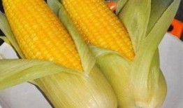 玉米卖货爆料视频大全,揭秘热门玉米产品背后的故事