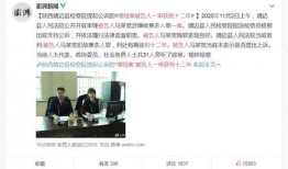 被告人12集在线观看,揭秘真相，悬念迭起的剧情高潮